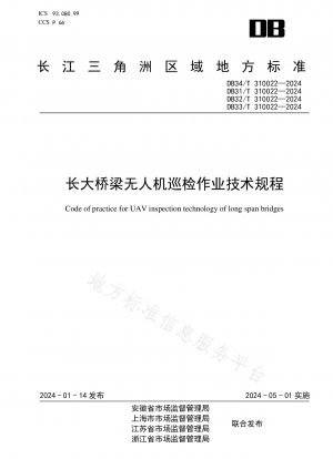 Технический регламент операций по проверке беспилотниками моста Чанчунь